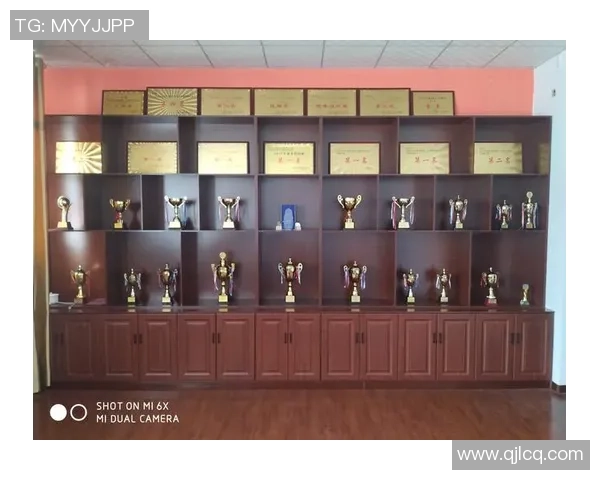 上海排球队逆袭之旅揭秘努力与坚持铸就辉煌成就