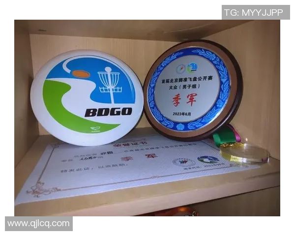 南京飞盘队与杭州飞盘队实力对比赛后分析与总结